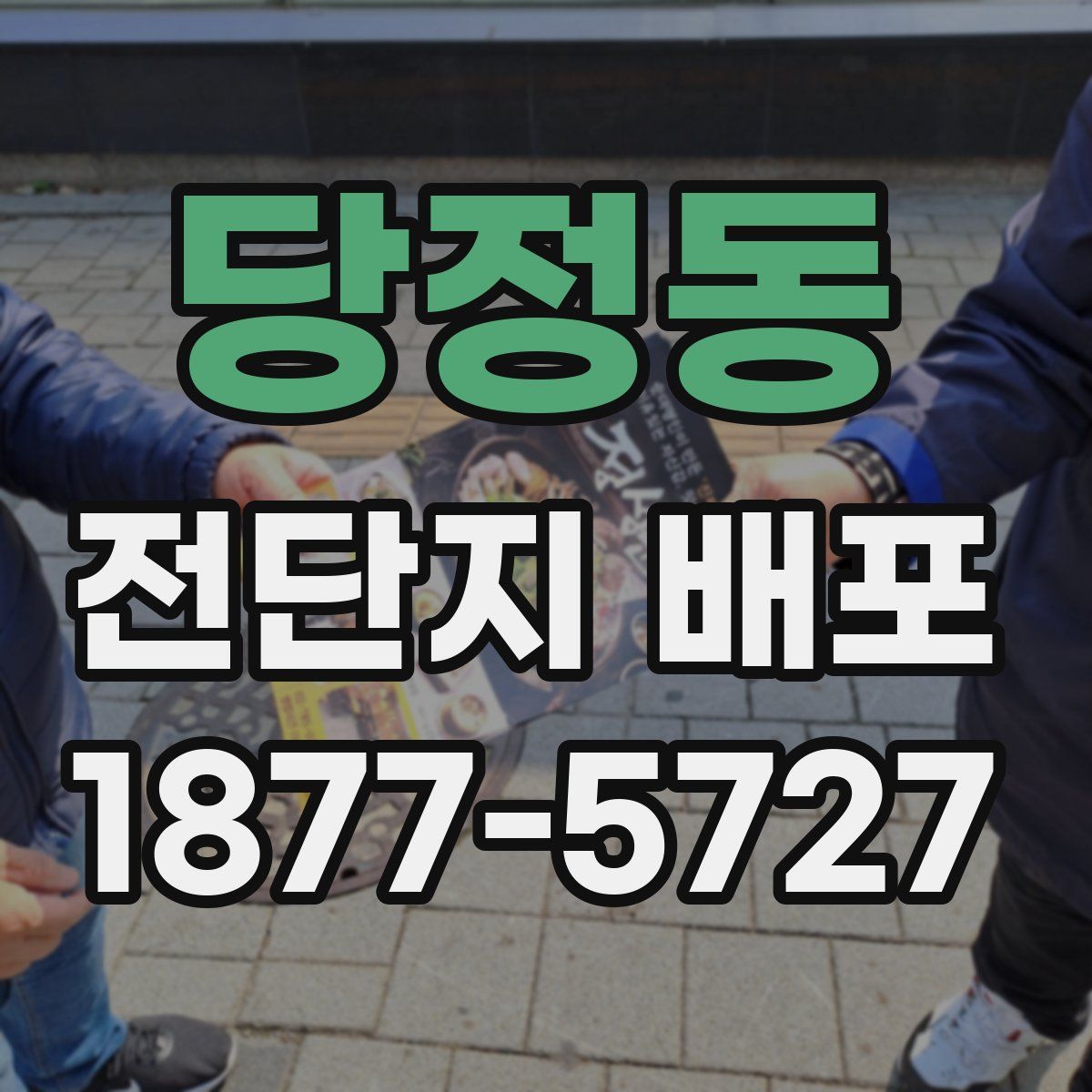 당정동 전단지 배포