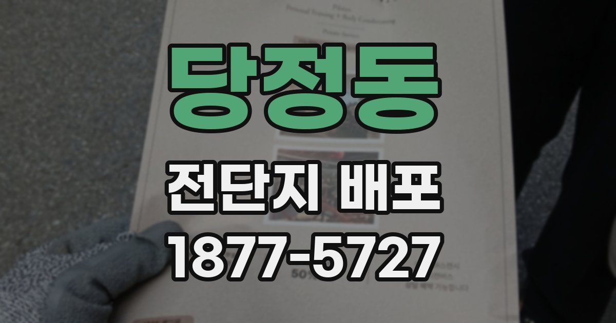 당정동 전단지 배포
