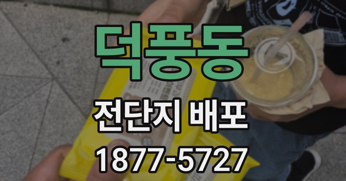덕풍동 전단지 배포