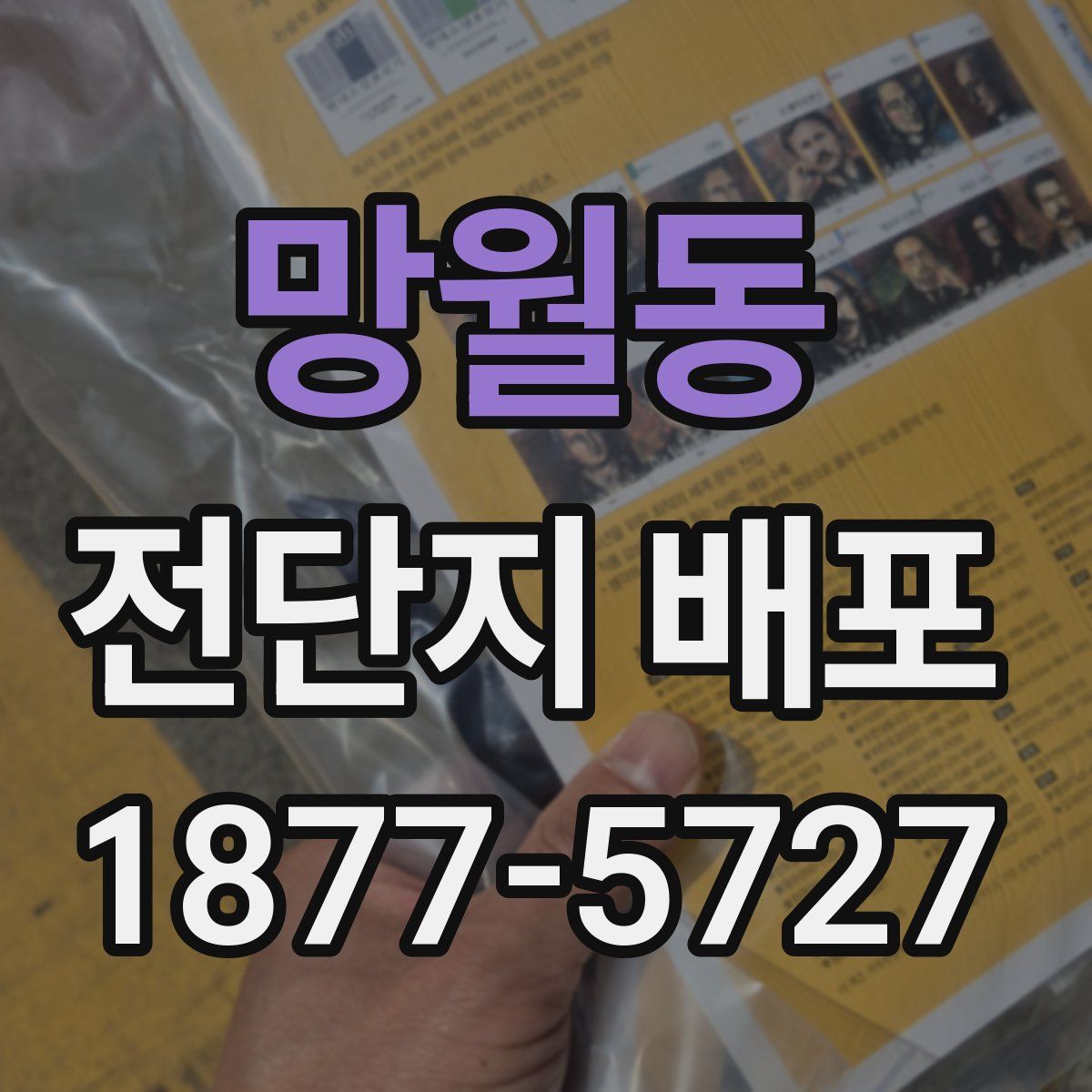 망월동 전단지 배포