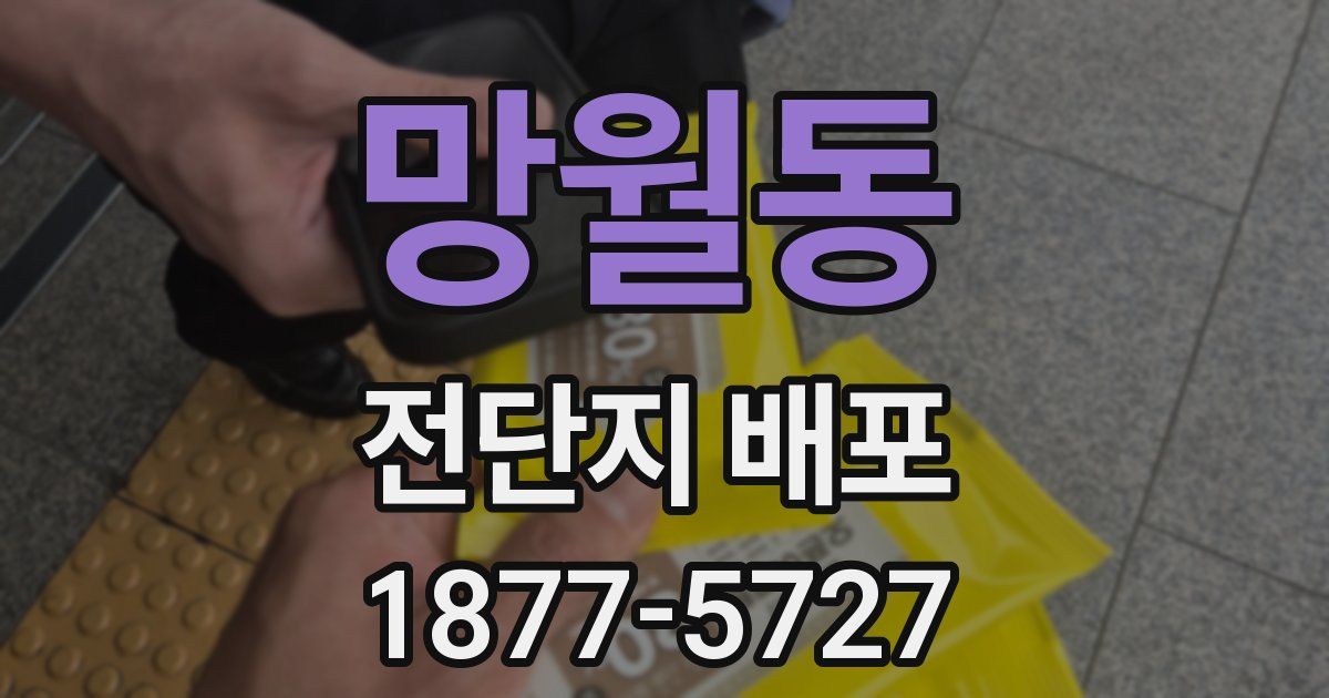 망월동 전단지 배포
