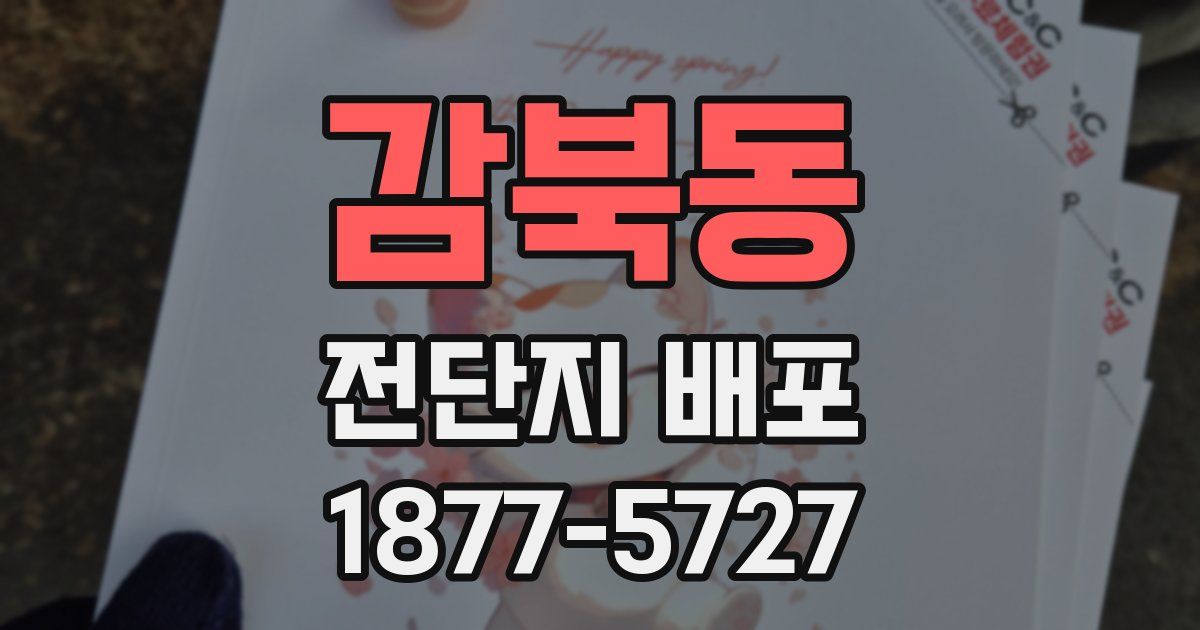 감북동 전단지 배포