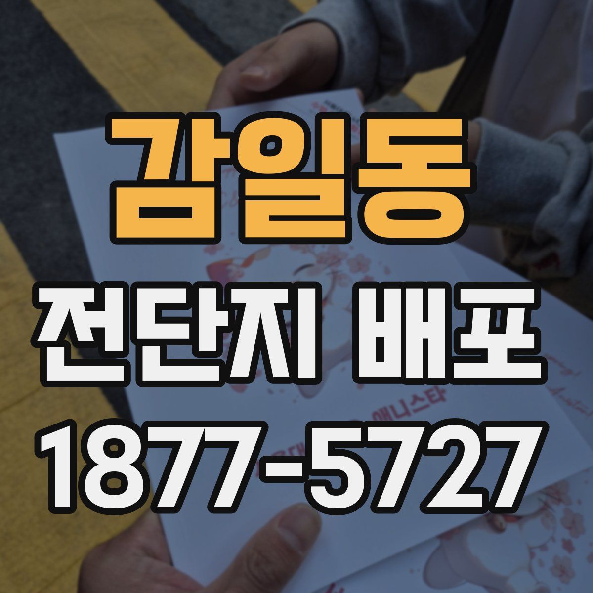 감일동 전단지 배포