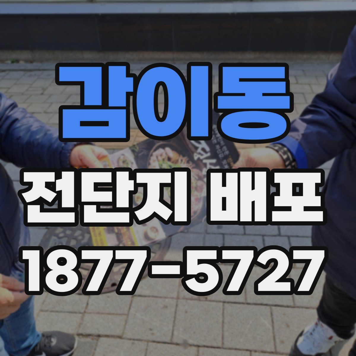 감이동 전단지 배포