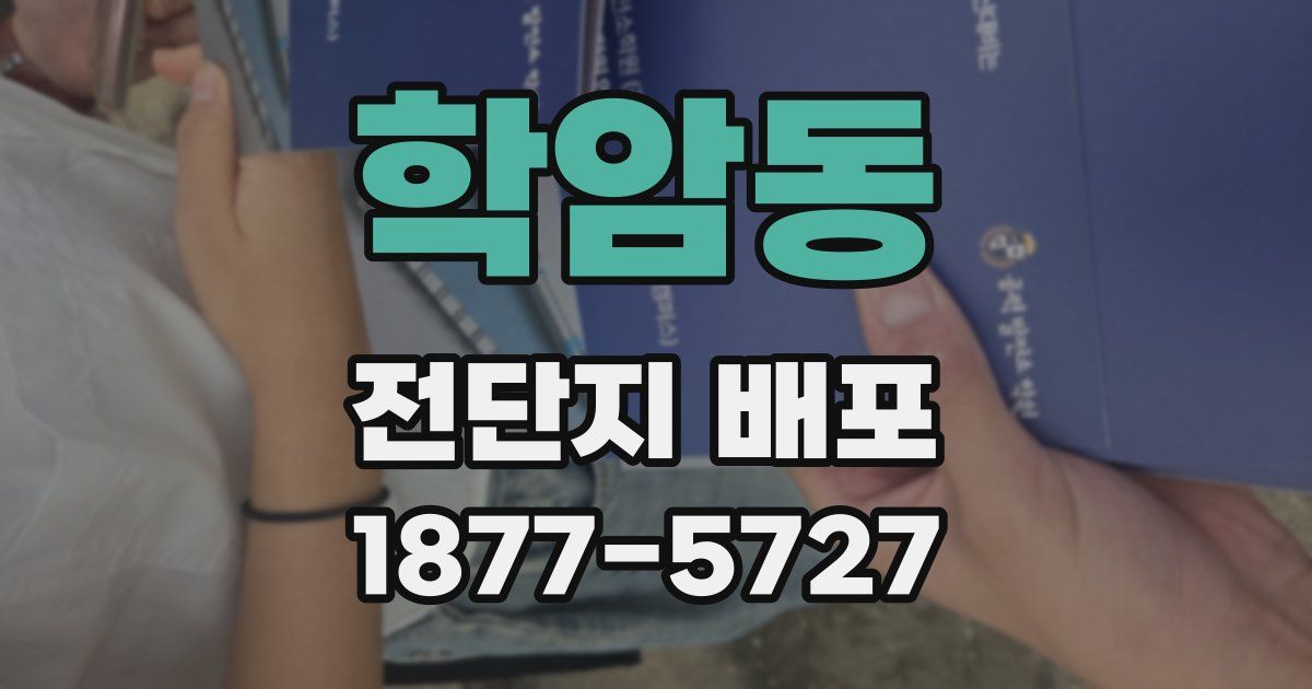 학암동 전단지 배포