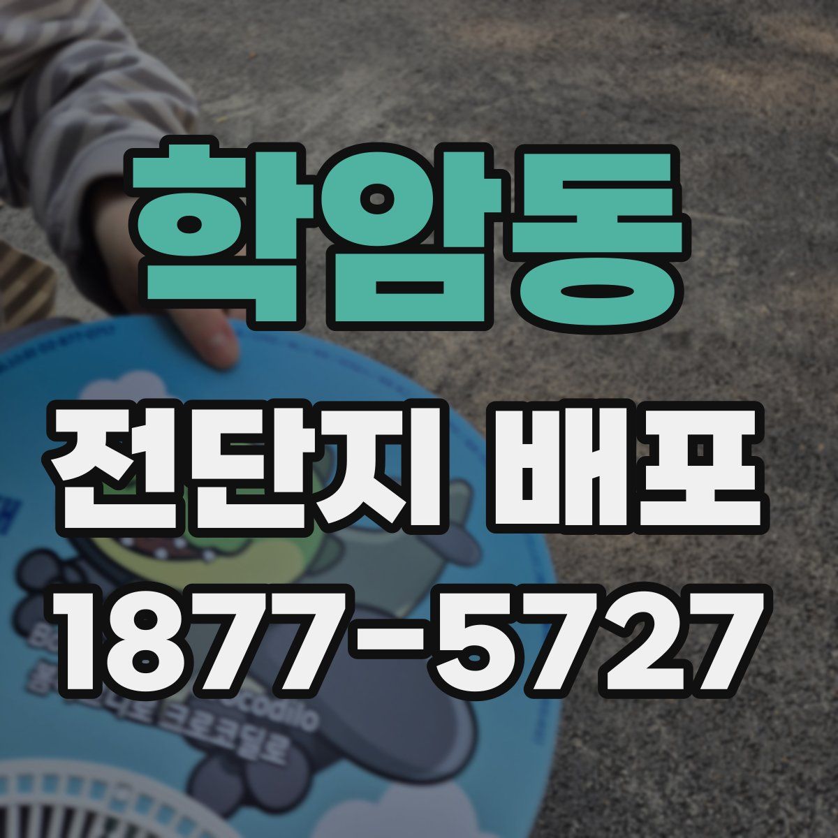 학암동 전단지 배포
