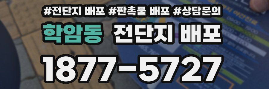 학암동 전단지 배포