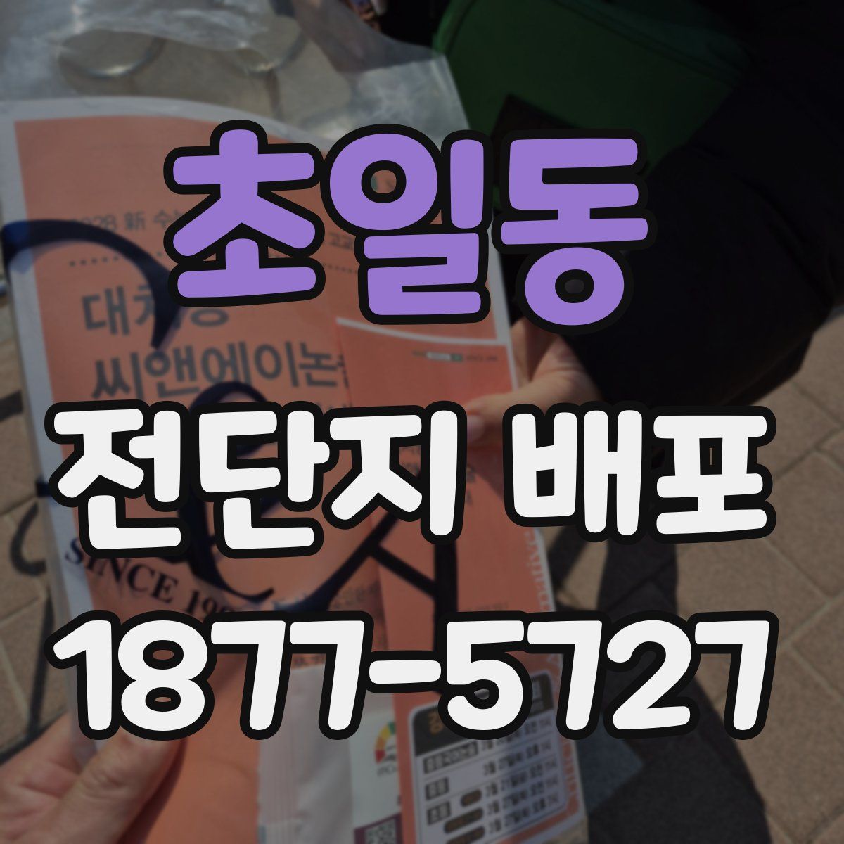 초일동 전단지 배포