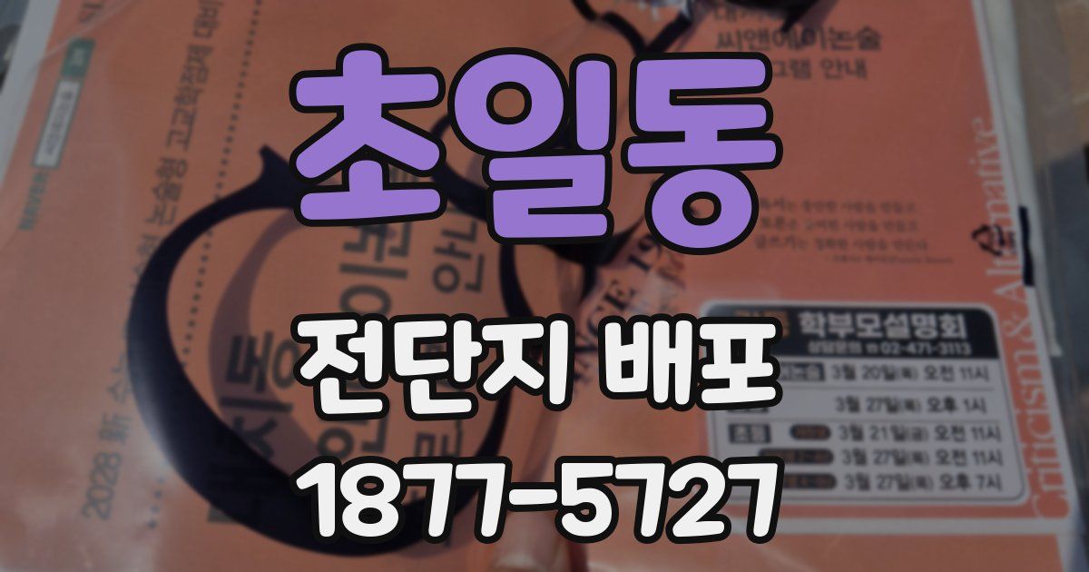 초일동 전단지 배포