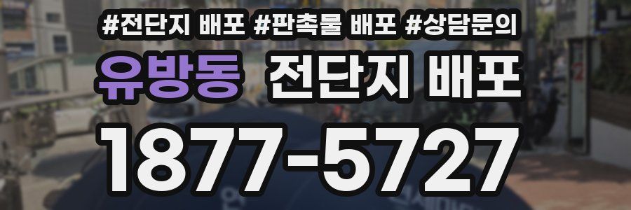 유방동 전단지 배포