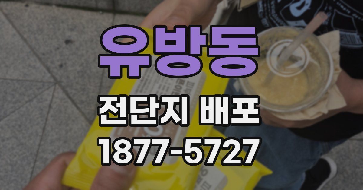 유방동 전단지 배포