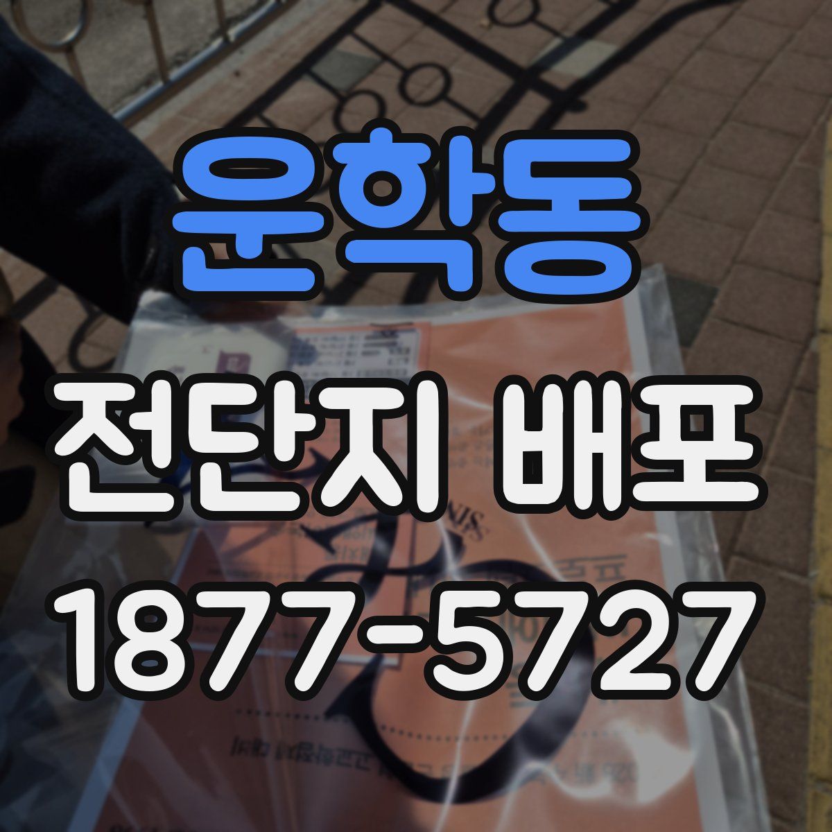 운학동 전단지 배포