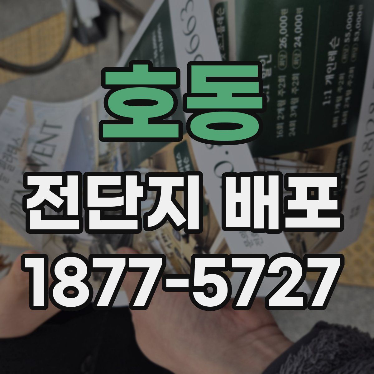 호동 전단지 배포