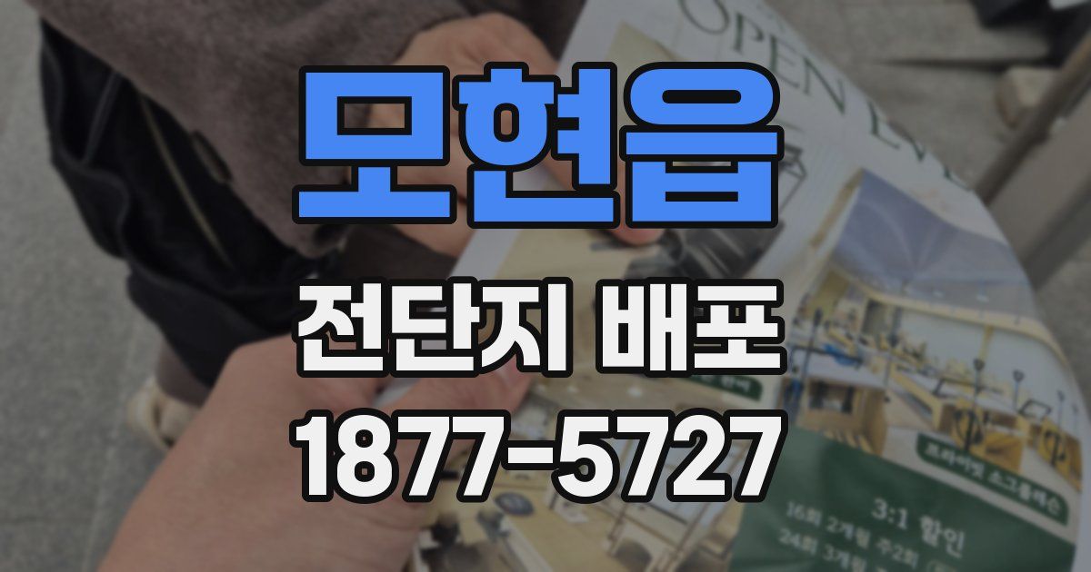 모현읍 전단지 배포