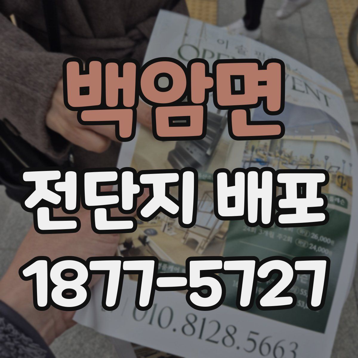 백암면 전단지 배포