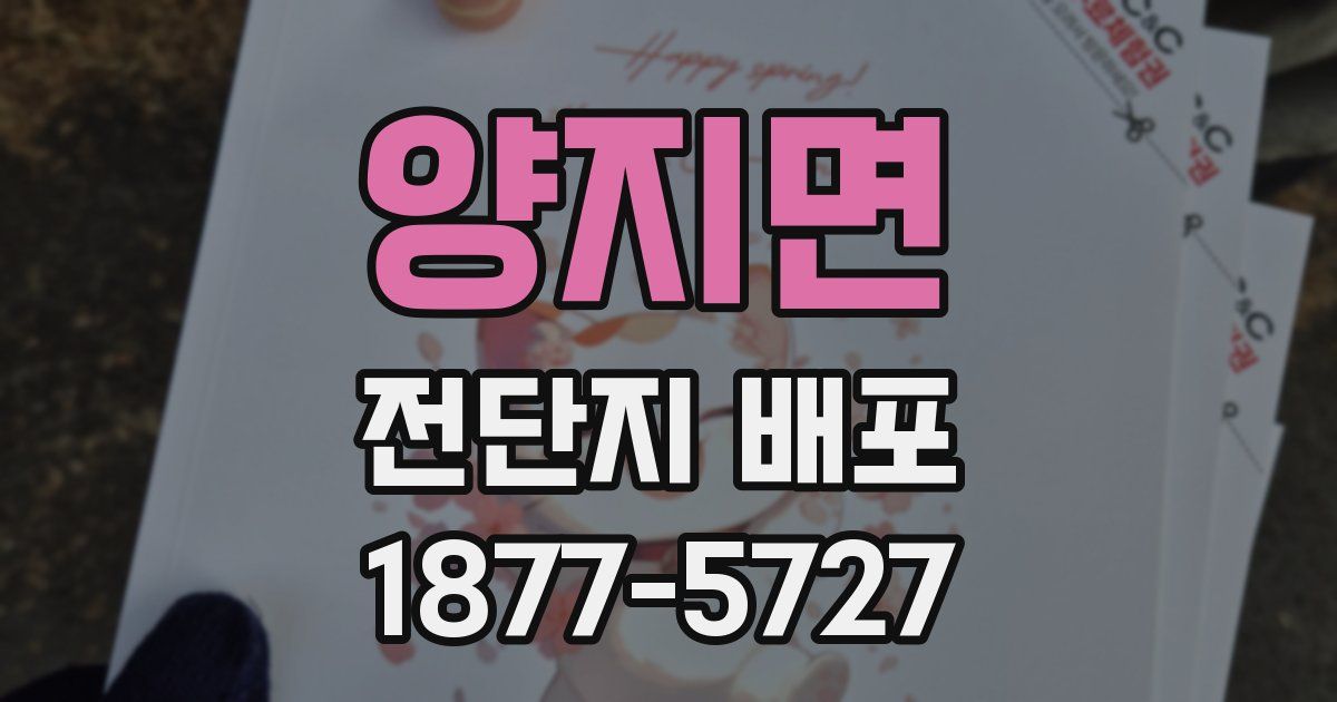 양지면 전단지 배포