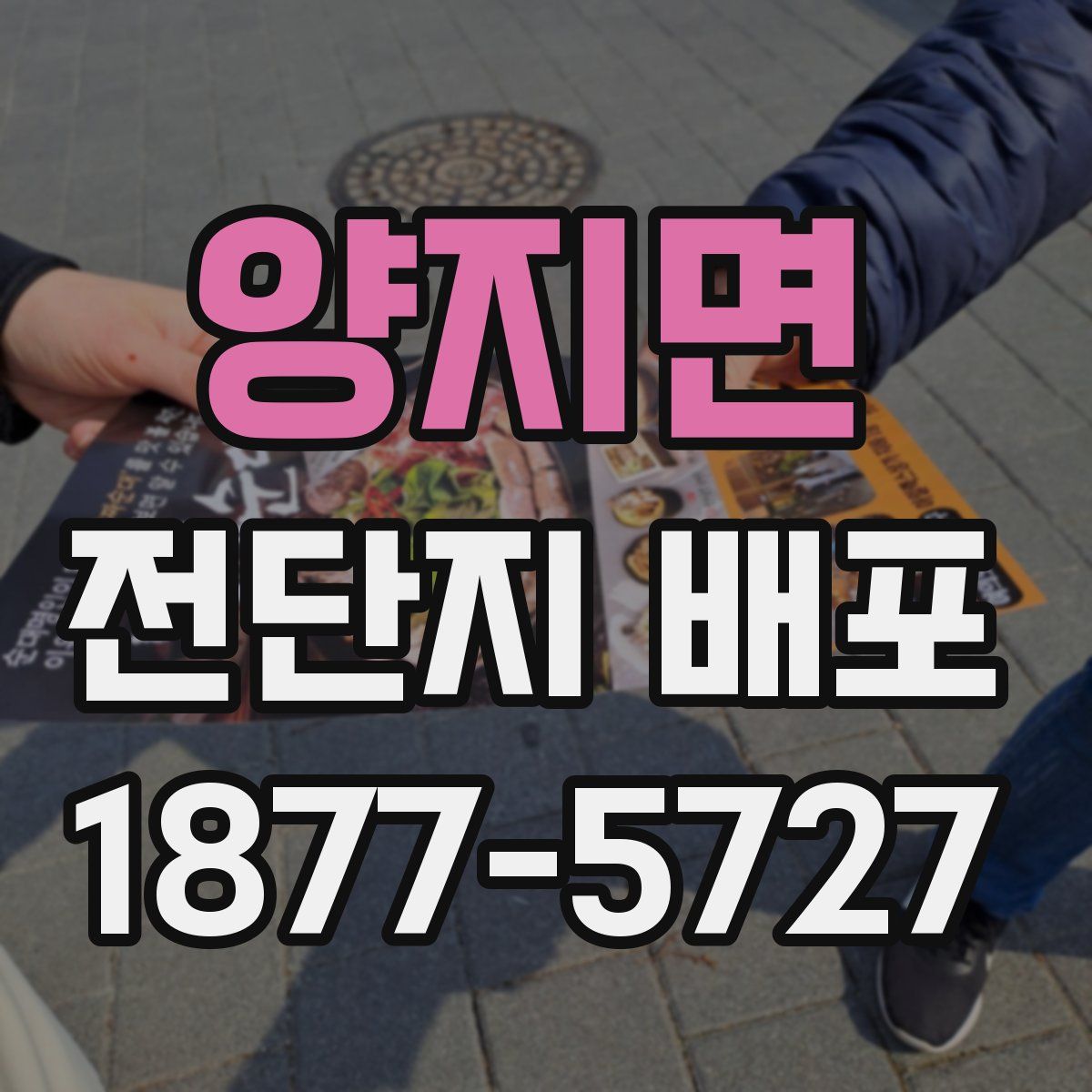 양지면 전단지 배포