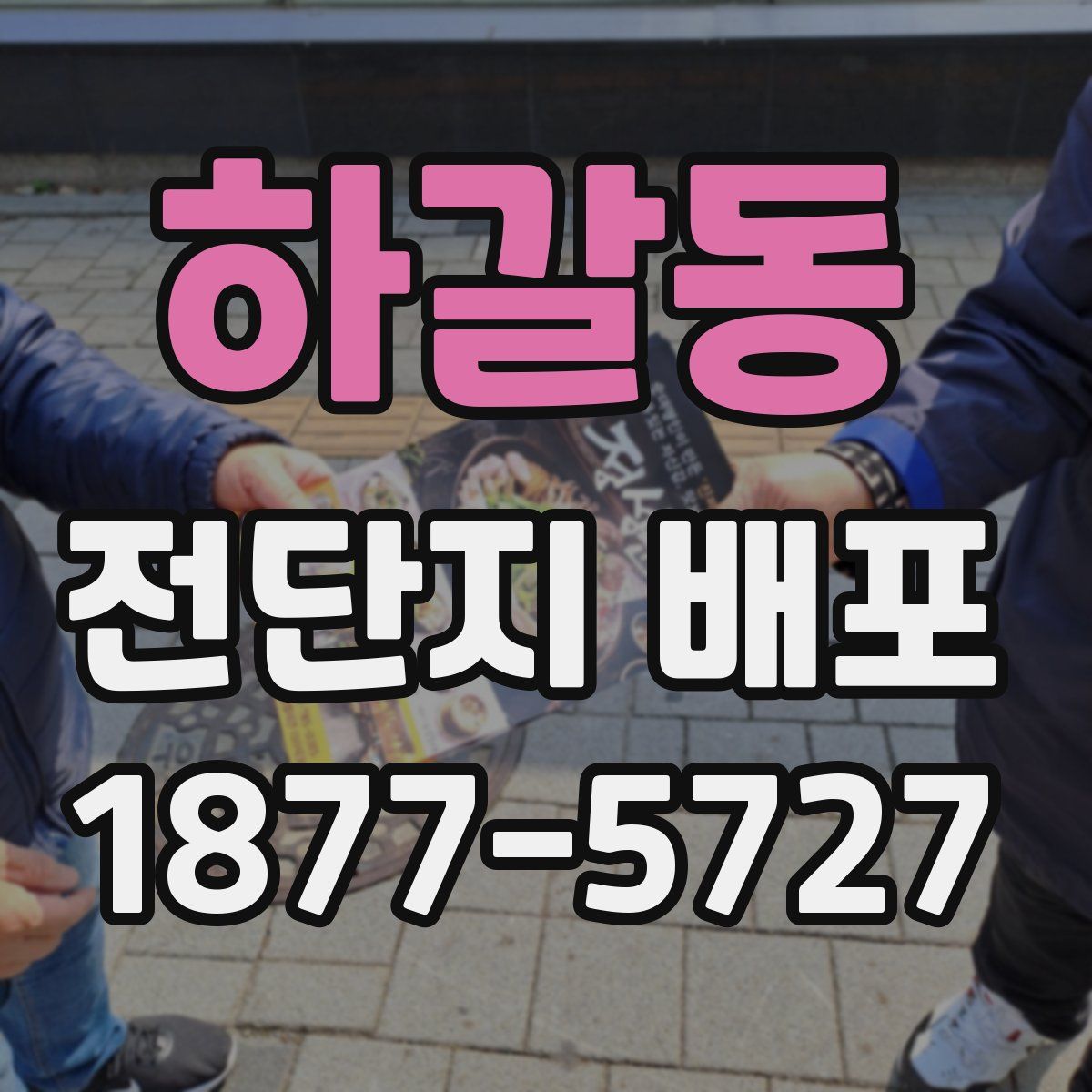 하갈동 전단지 배포
