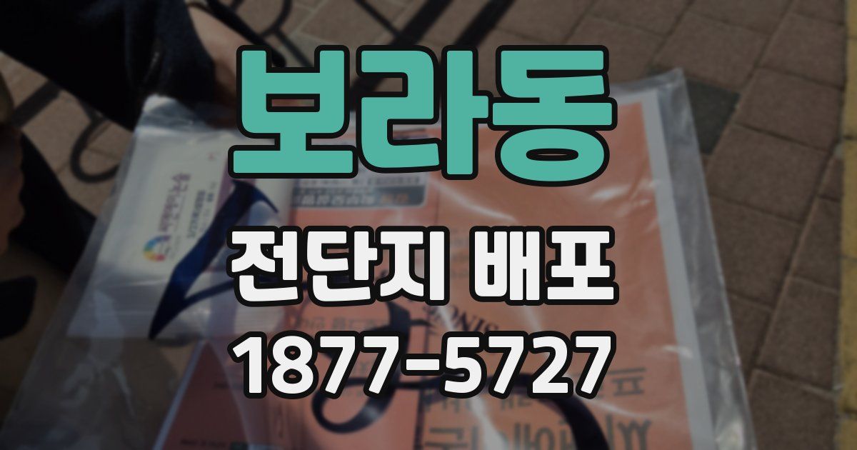 보라동 전단지 배포