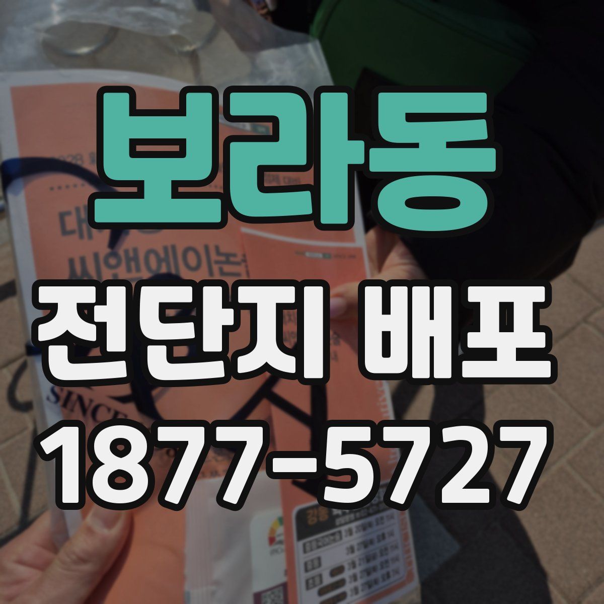 보라동 전단지 배포