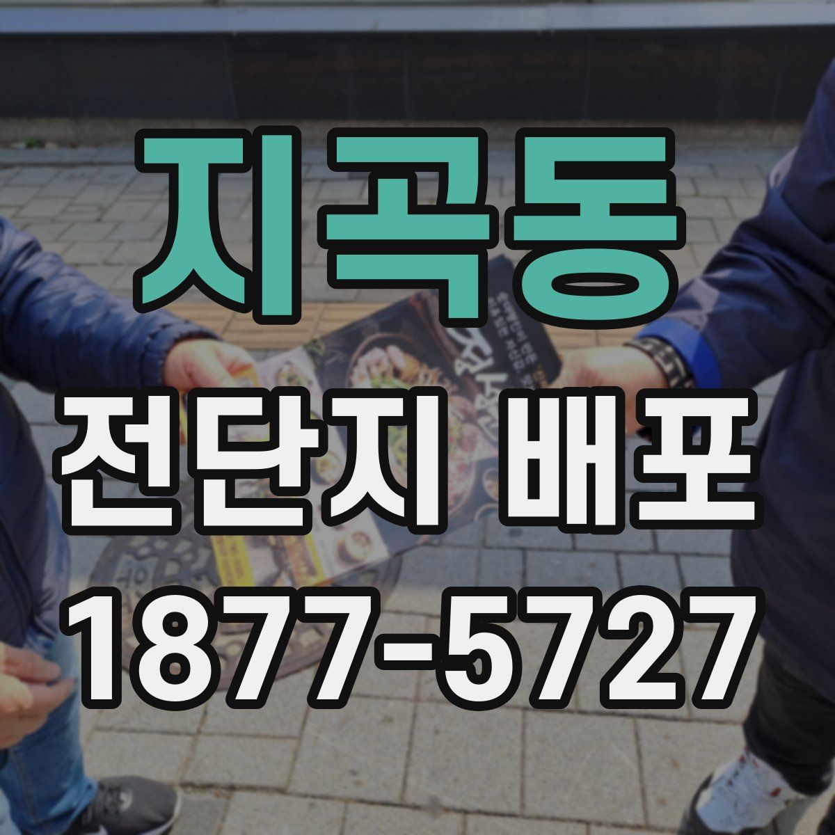 지곡동 전단지 배포