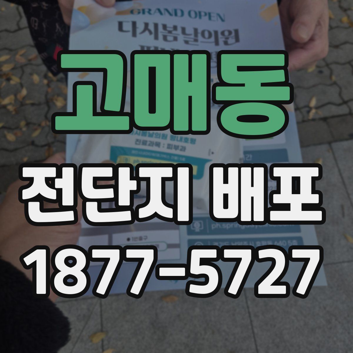 고매동 전단지 배포