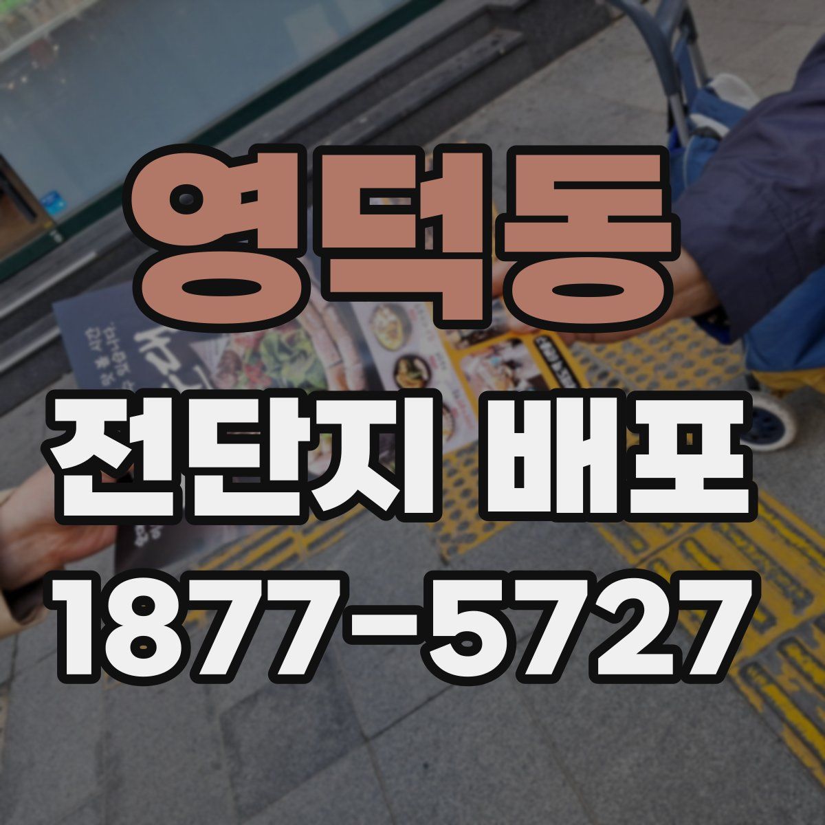 영덕동 전단지 배포