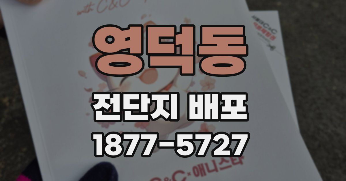 영덕동 전단지 배포