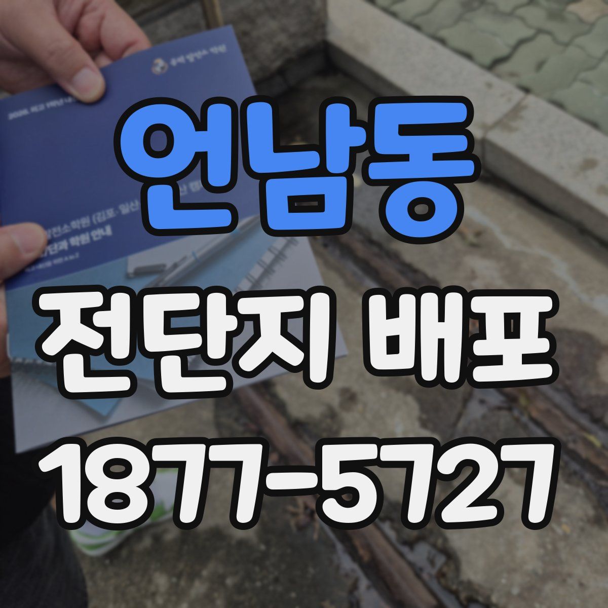 언남동 전단지 배포
