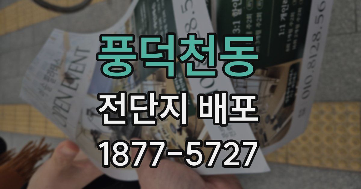 풍덕천동 전단지 배포
