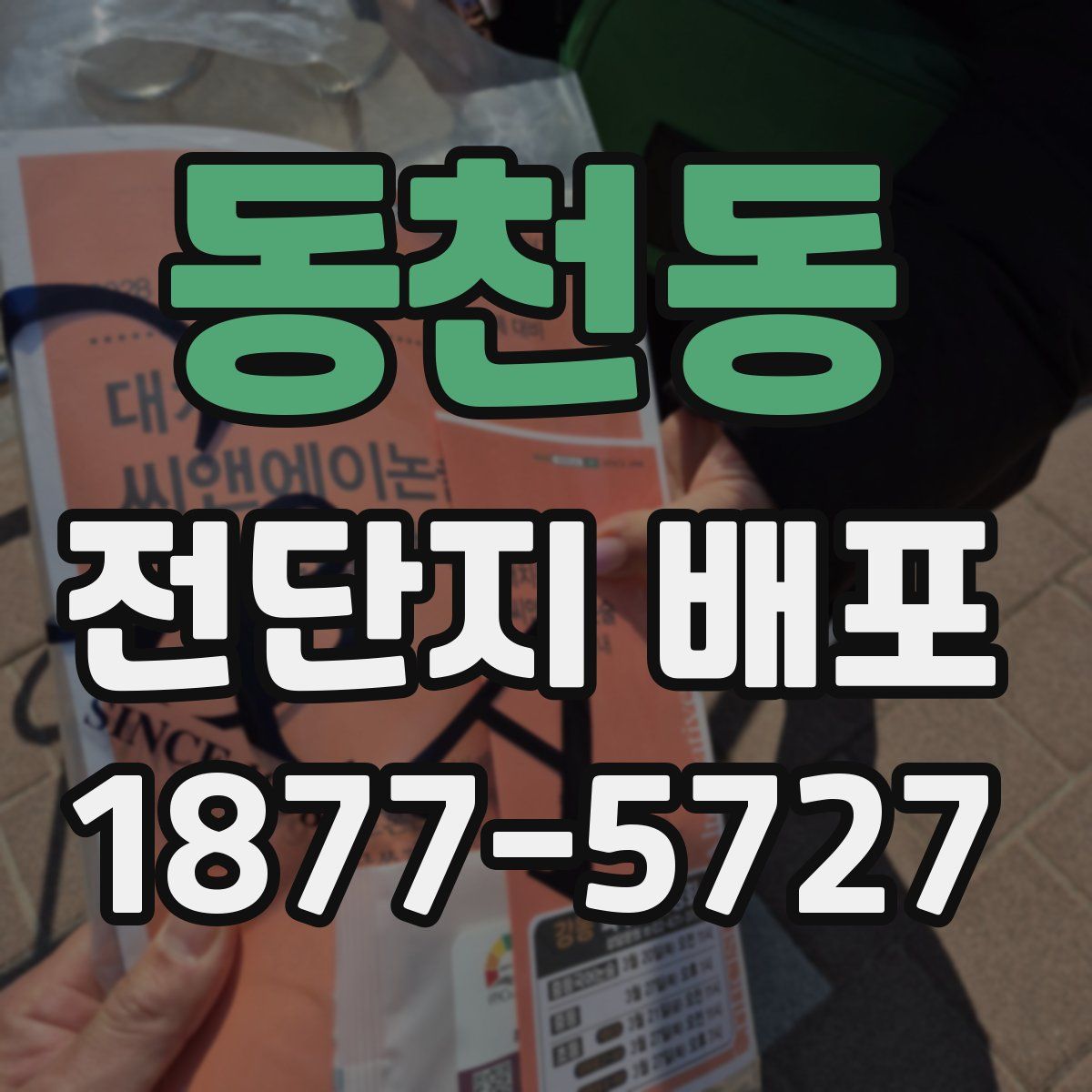 동천동 전단지 배포