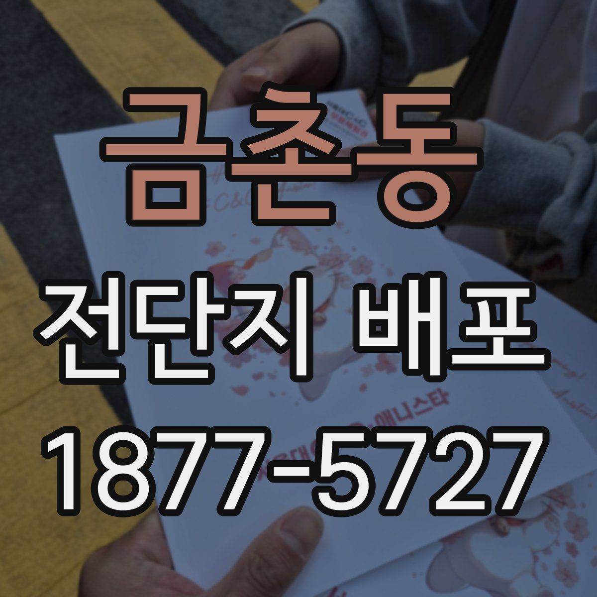 금촌동 전단지 배포