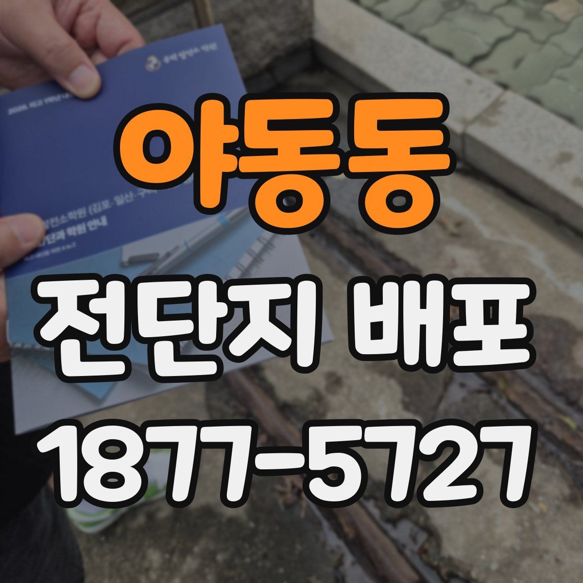 야동동 전단지 배포