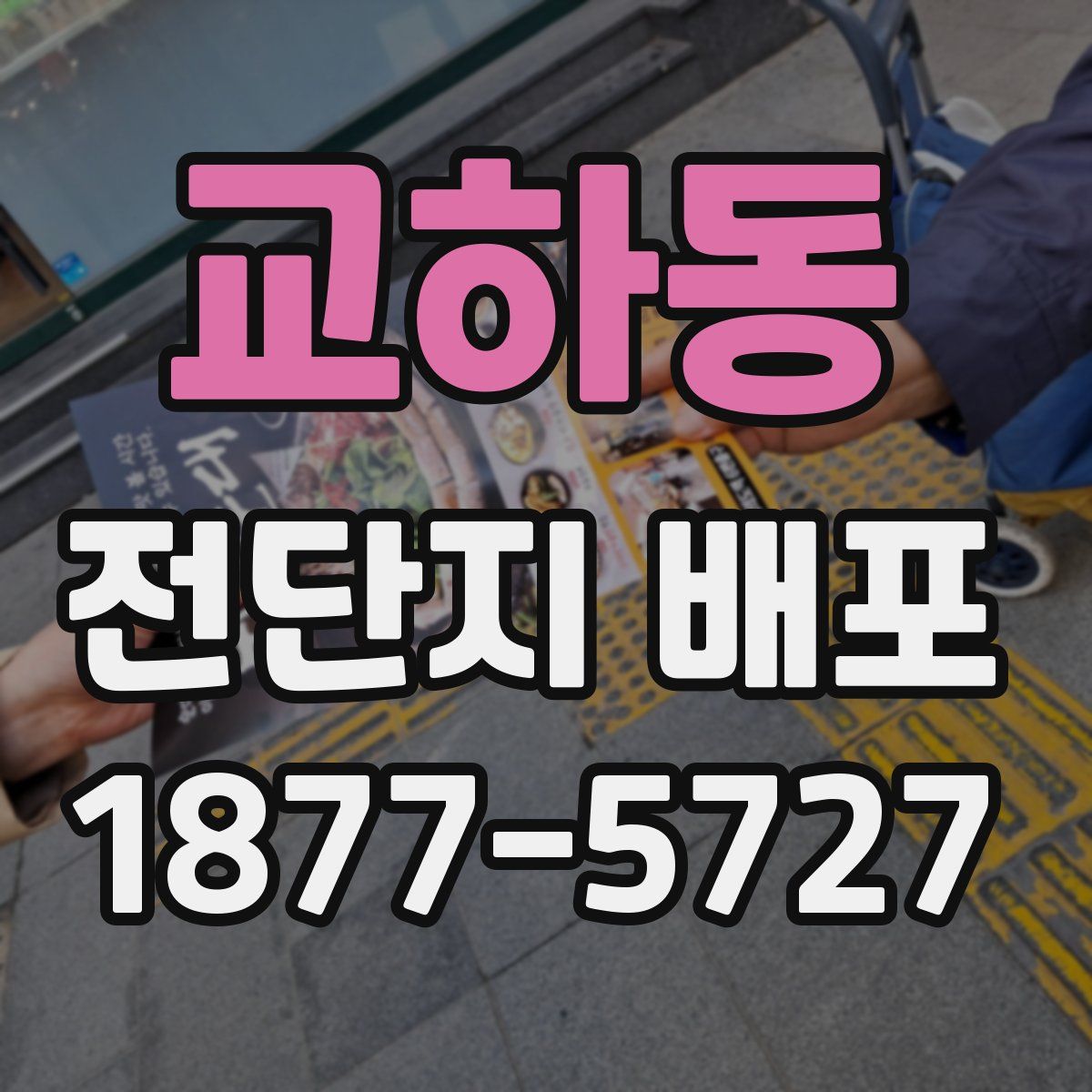 교하동 전단지 배포