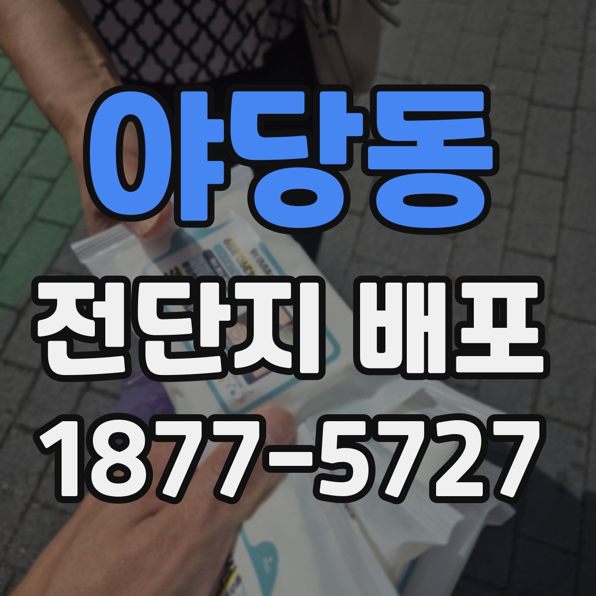 야당동 전단지 배포