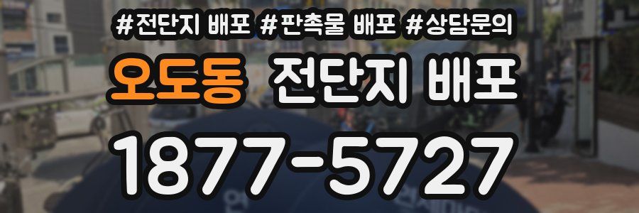 오도동 전단지 배포