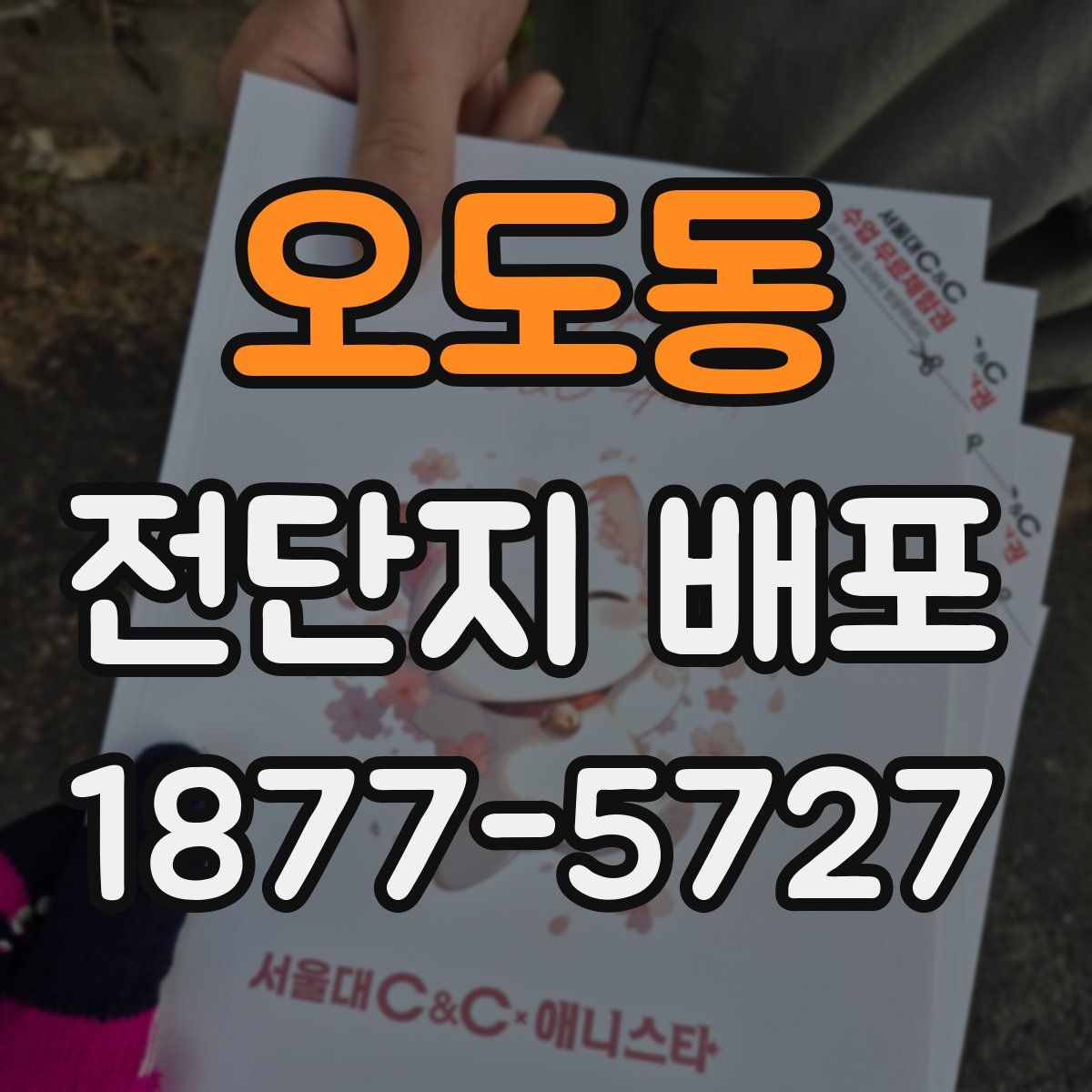 오도동 전단지 배포