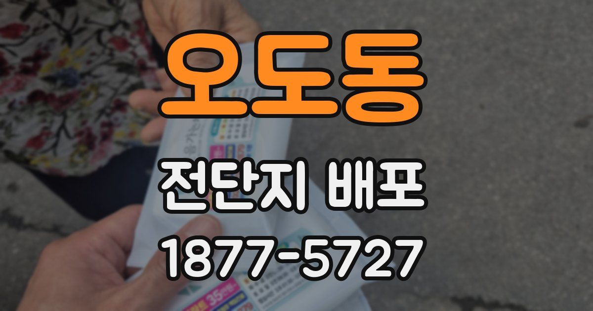 오도동 전단지 배포