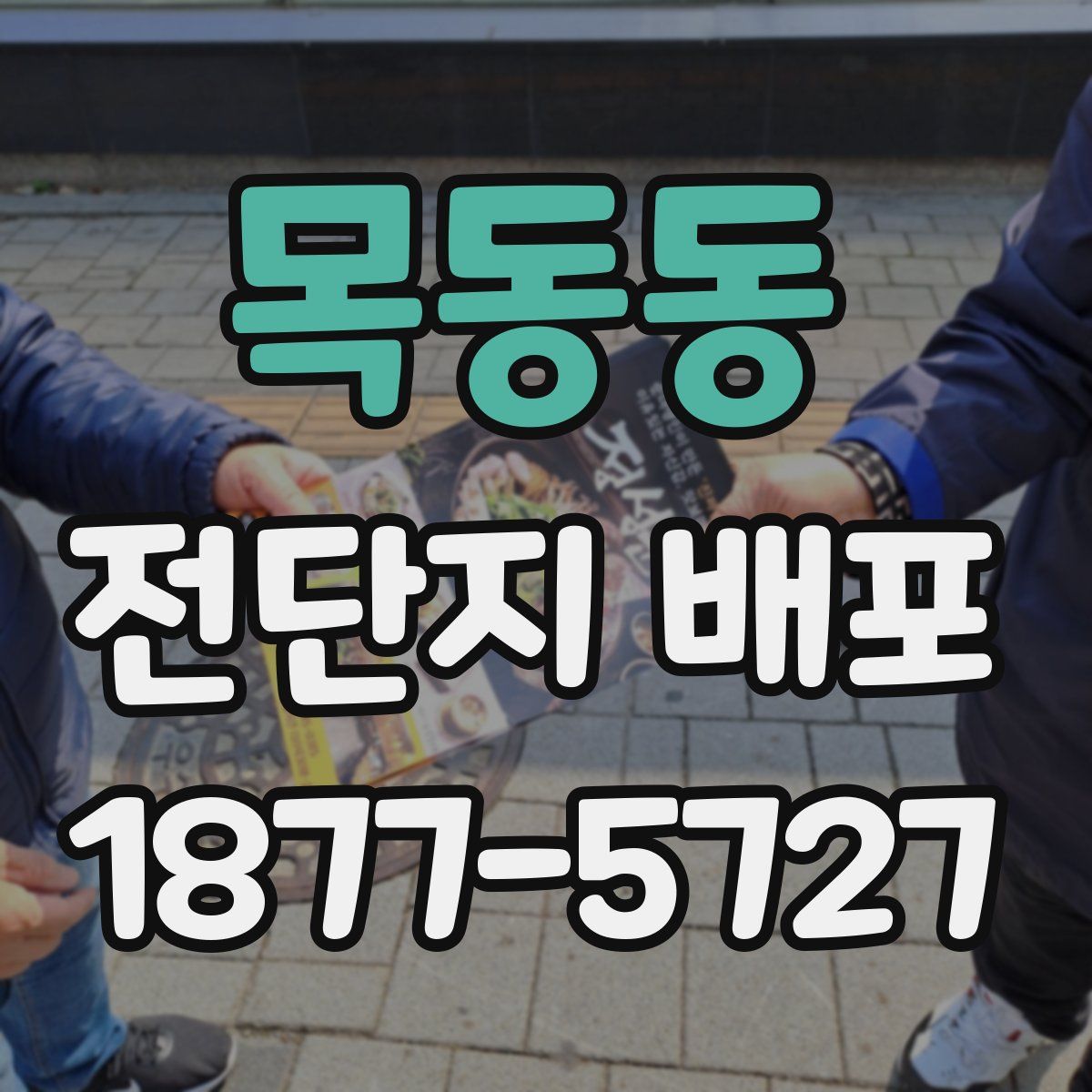 목동동 전단지 배포