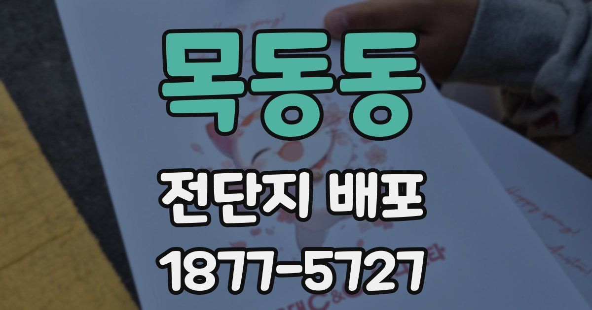 목동동 전단지 배포