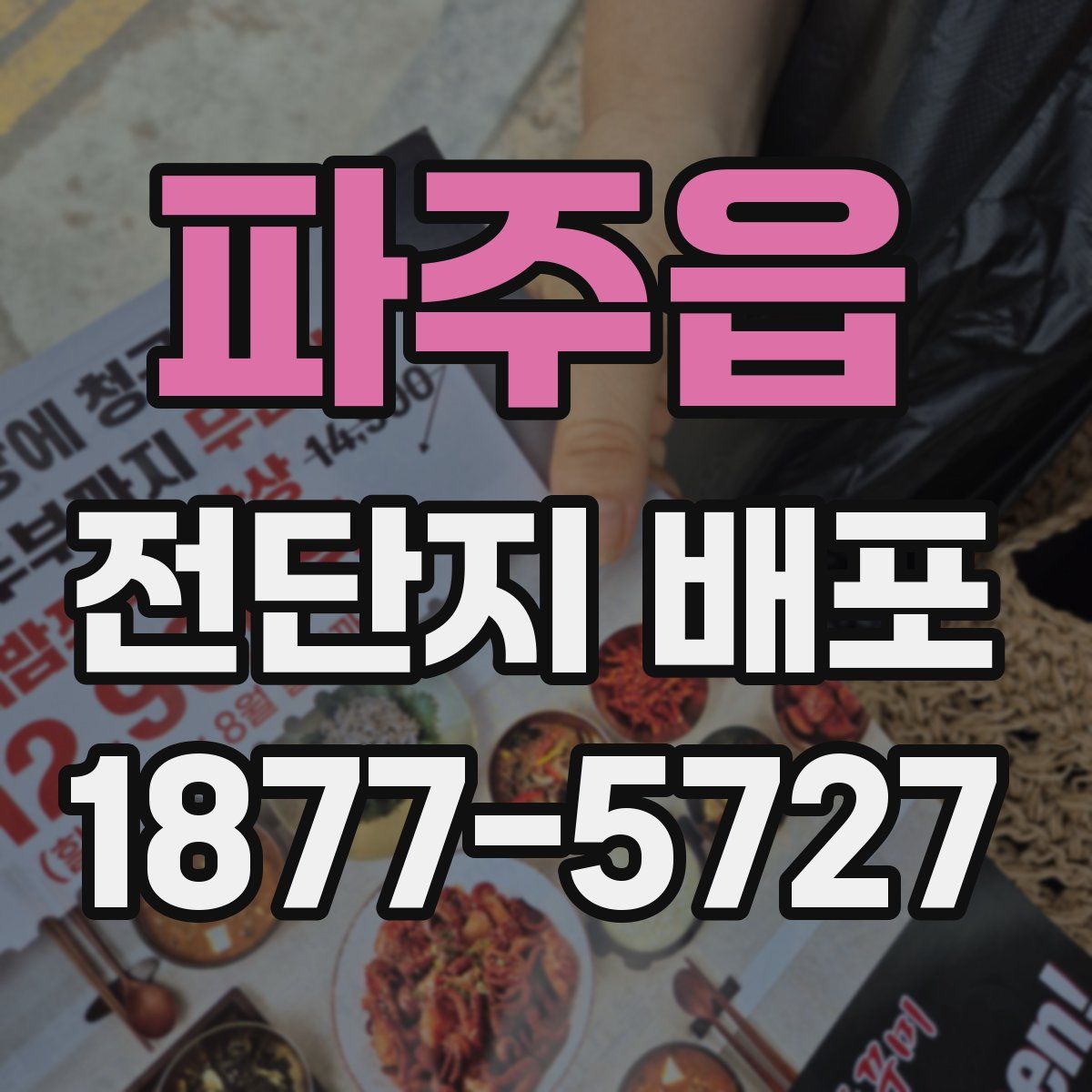 파주읍 전단지 배포
