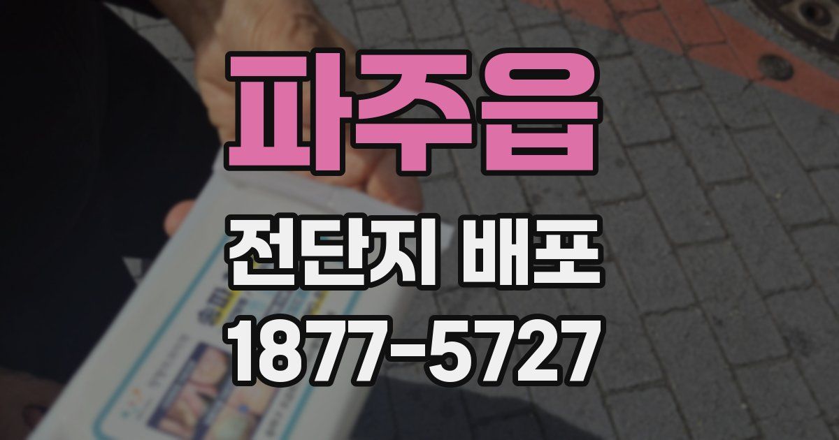 파주읍 전단지 배포