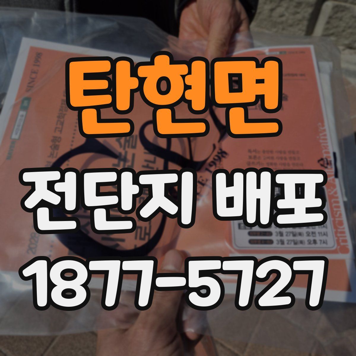 탄현면 전단지 배포