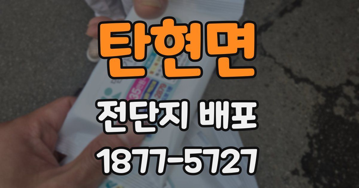 탄현면 전단지 배포