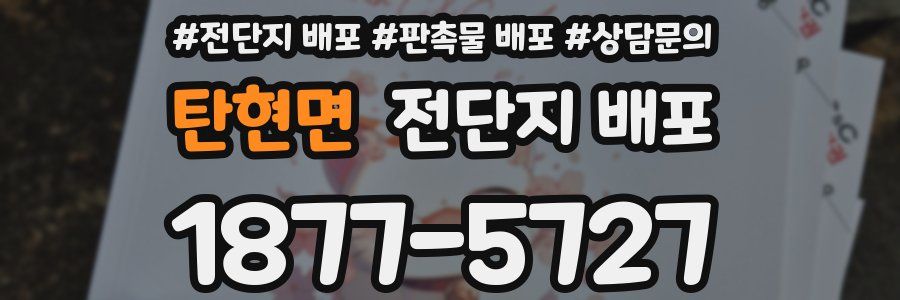 탄현면 전단지 배포