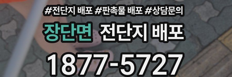 장단면 전단지 배포