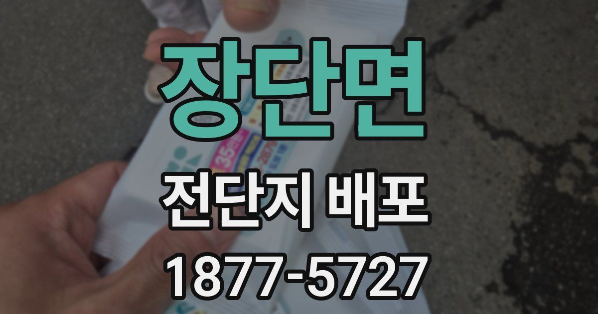 장단면 전단지 배포