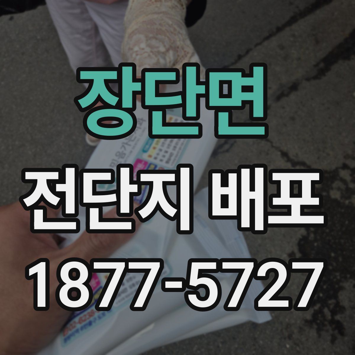 장단면 전단지 배포