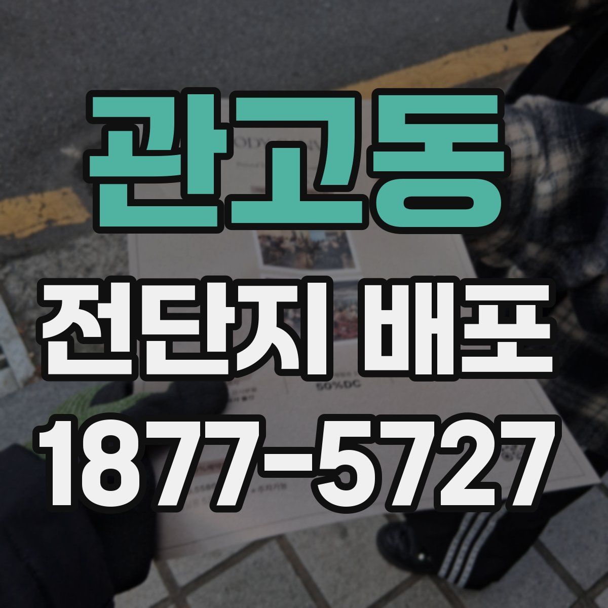 관고동 전단지 배포