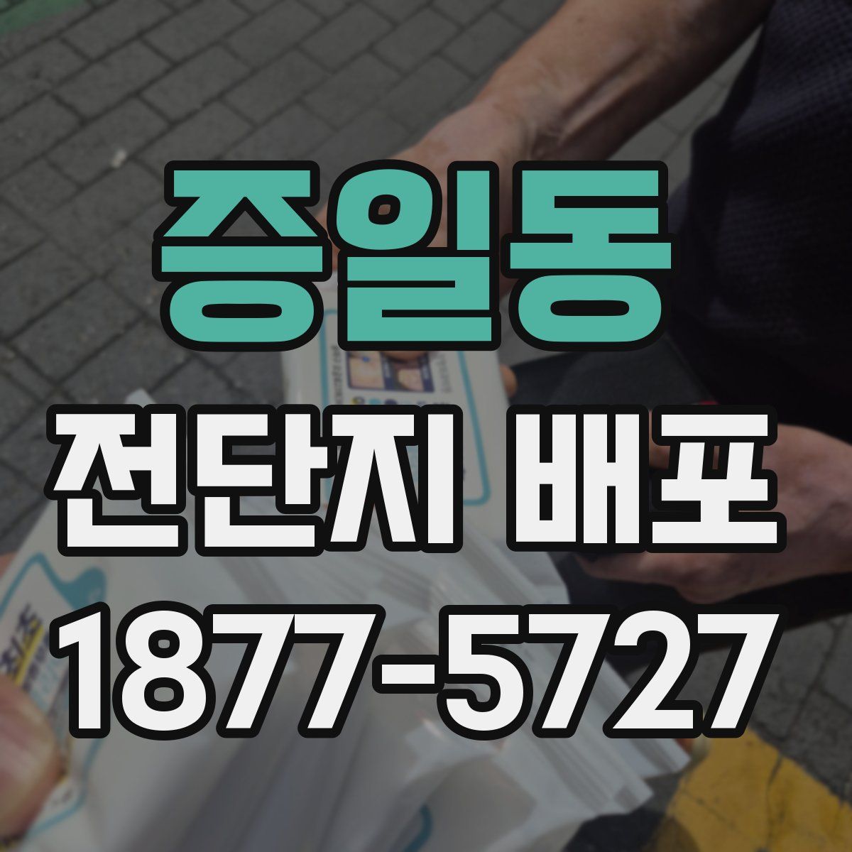 증일동 전단지 배포